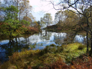 fairyloch.jpg